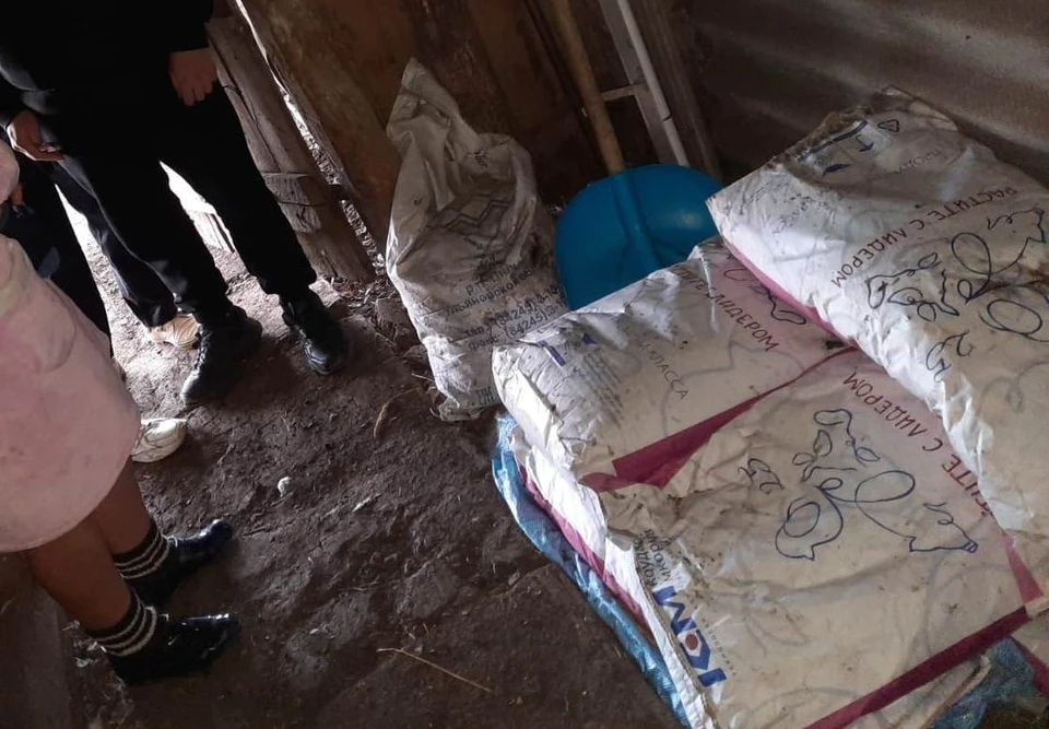 Возбуждено уголовное дело по статье «Кража»