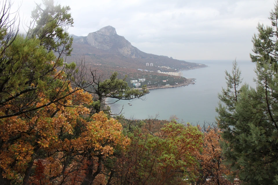 Погода солнечное севастополь. Погода в Крыму. Посёлок Курортный в Крыму фото 2022. Погода на Южном берегу Крыма на 10 дней. Погода Краснокаменка Феодосия.