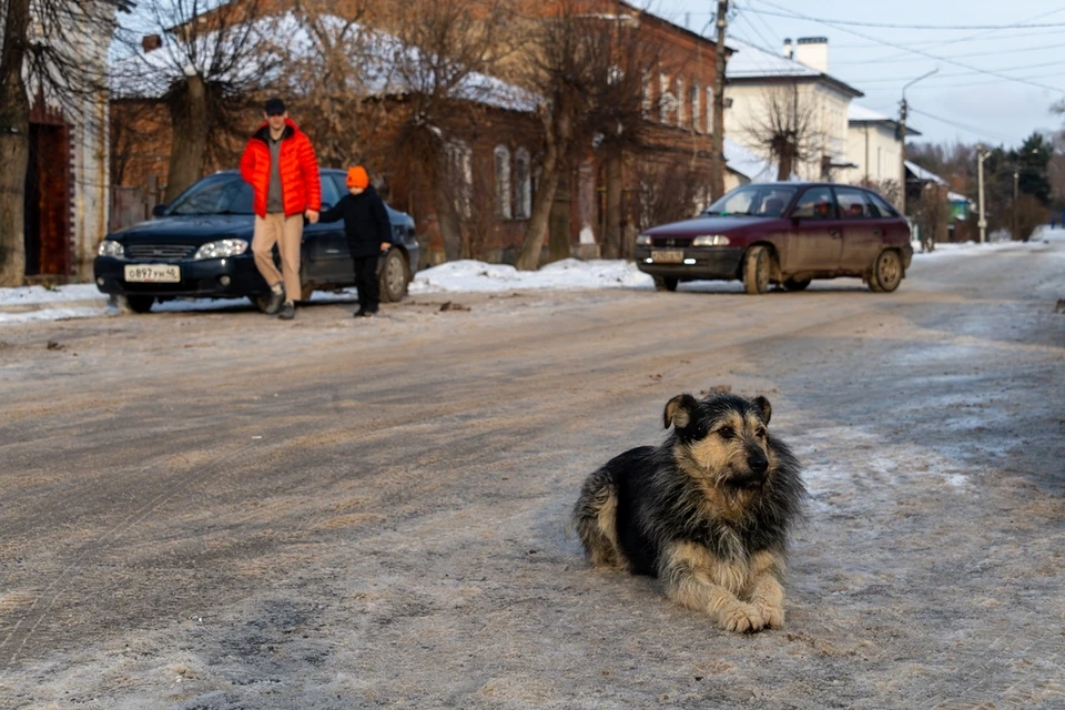 Погибли жильцы частного дома.