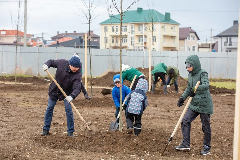 В Крещенском парке провели массовую высадку деревьев. Фото: пресс-служба администрации Анапы