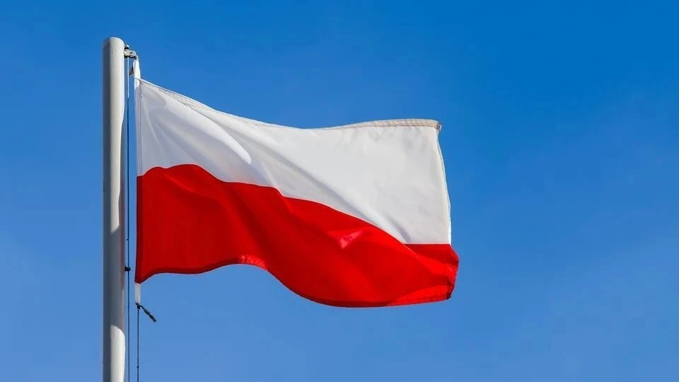 Политолог Светов объяснил ошибки Польши в отношении России