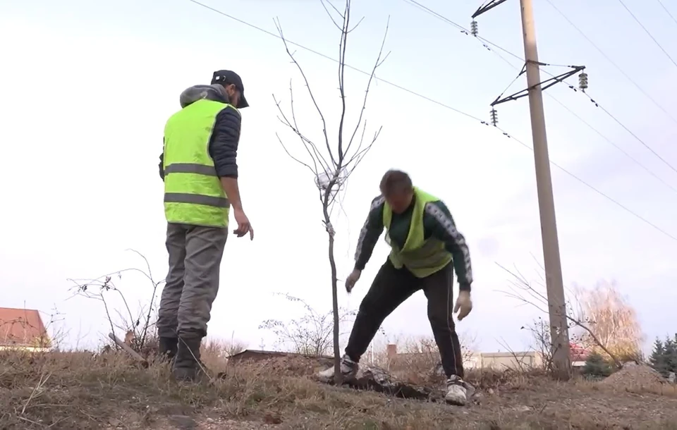 Фото: пресс-служба администрации Симферополя/скриншот из видео