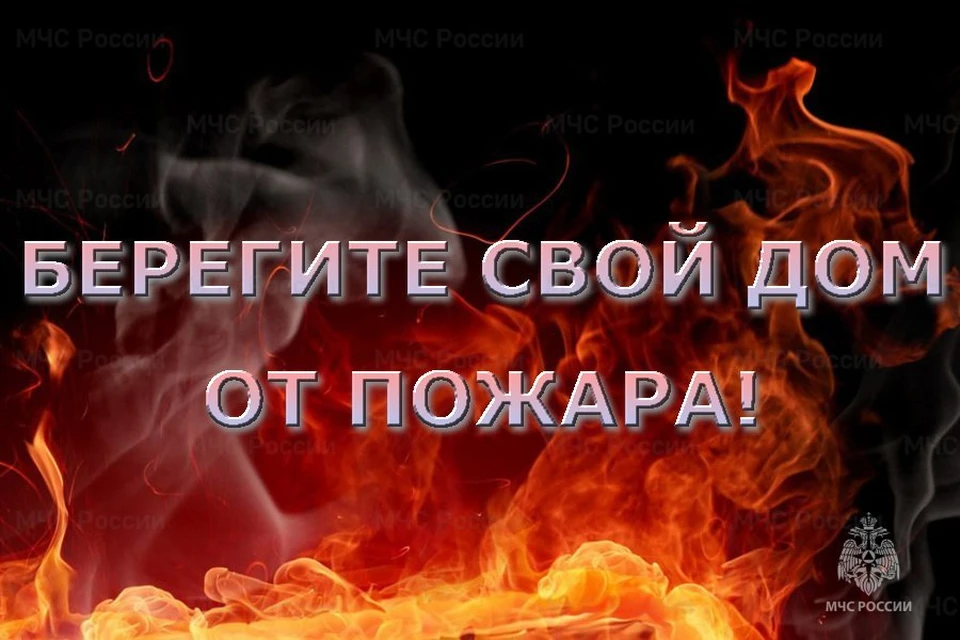 Травмы различной степени тяжести получили 56 человек, в том числе 8 детей