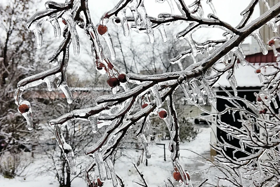 Мокрый снег, ледяные дожди и туман пообещал синоптик 11 декабря в Москве