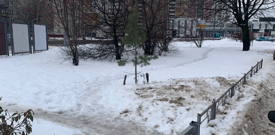 Пешеходную зону на улице Плотникова в Автозаводском районе благоустроят в 2024 году.