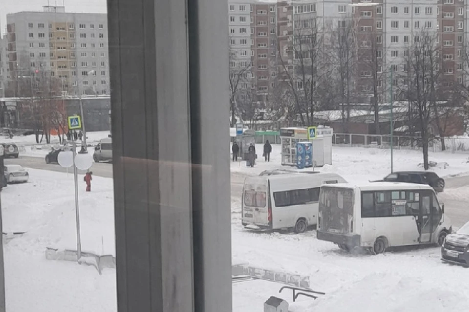 Новосибирцы обматерили водителя, который помог испуганной женщине ...