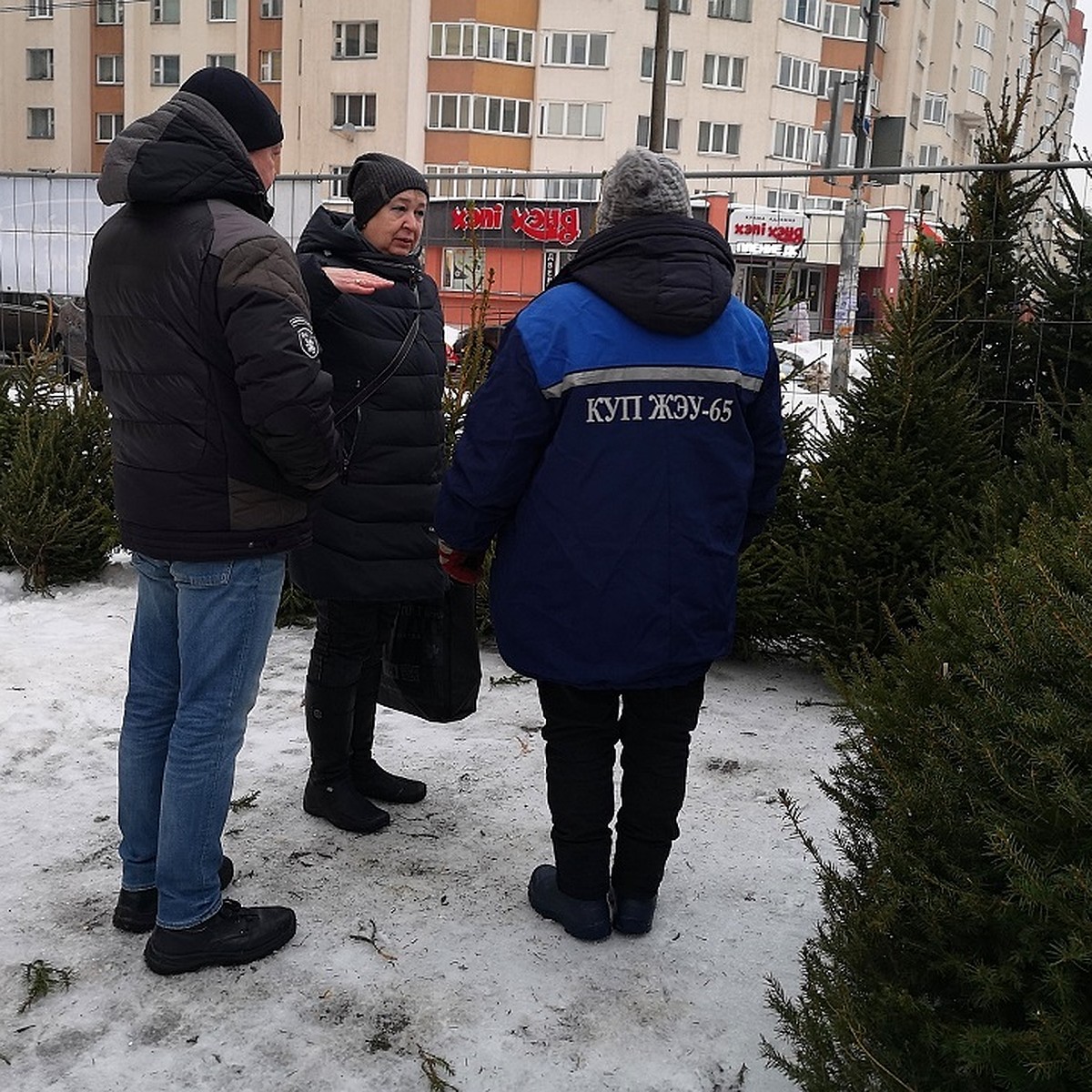 Елочные базары в Минске: адреса, районы, цены - последние новости на 21  декабря 2022 года - KP.RU