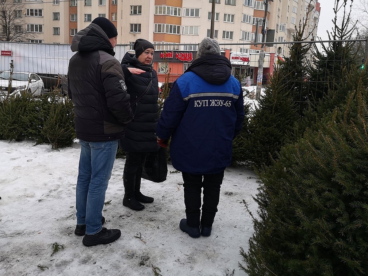 Елочные базары в Минске: адреса, районы, цены - последние новости на 21  декабря 2022 года - KP.RU