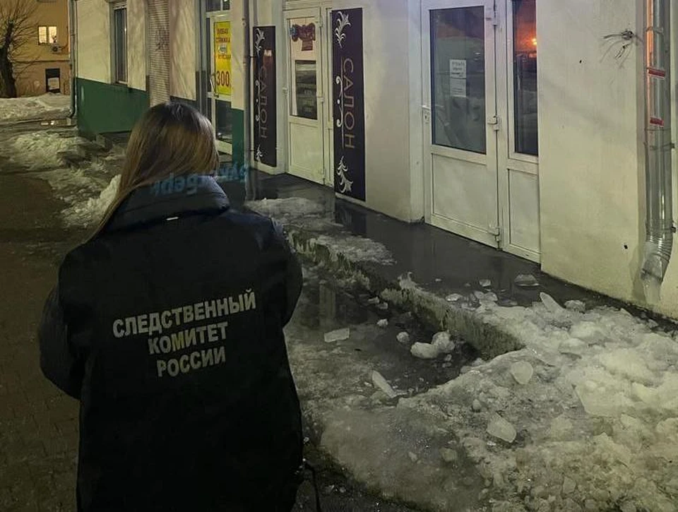 В Туле на улице Дмитрия Ульянова на 15-летнюю девочку упала наледь с крыши