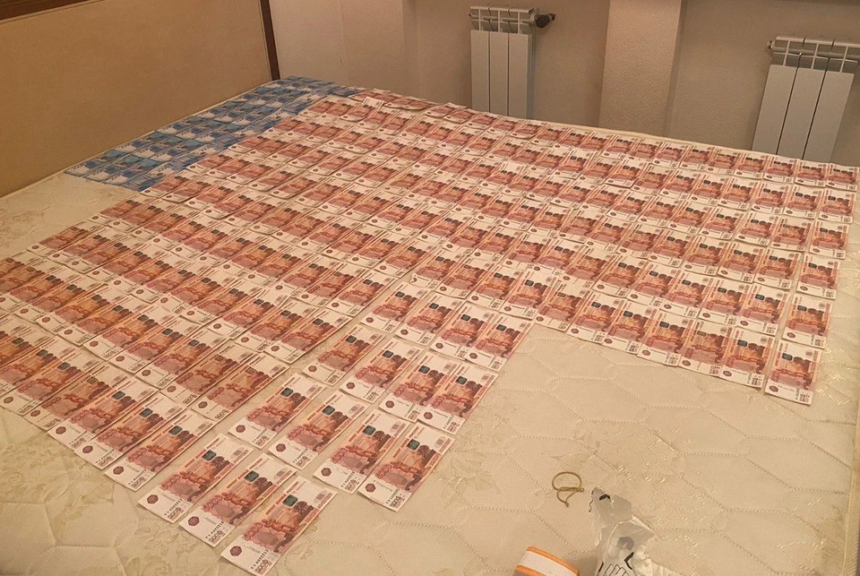 Чтобы вызволить племянника из тюрьмы, женщина не пожалела миллиона рублей. Но план не сработал. Фото: ГСУ СК России по Крыму и Севастополю
