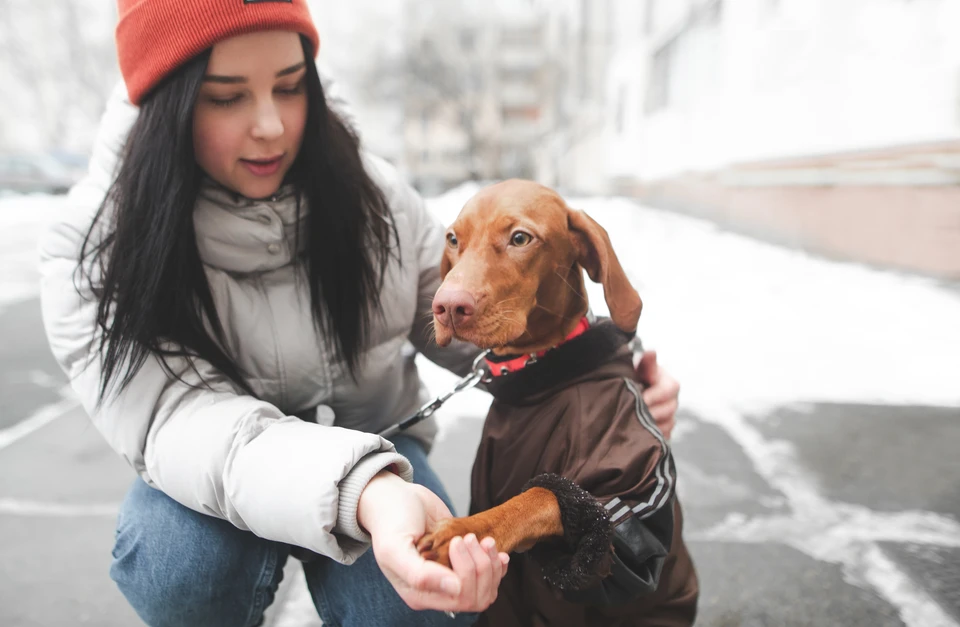 Если собака систематически вылизывает лапки во время или после прогулки в городе - время срочно принять меры.