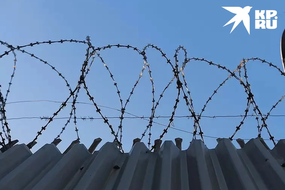 Подозреваемый сознался в краже, несколько лет он может провести за колючей проволокой.