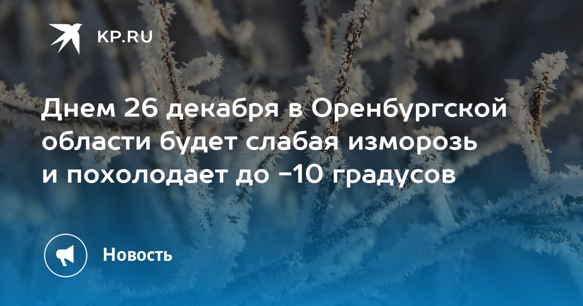 День нытика 26 декабря