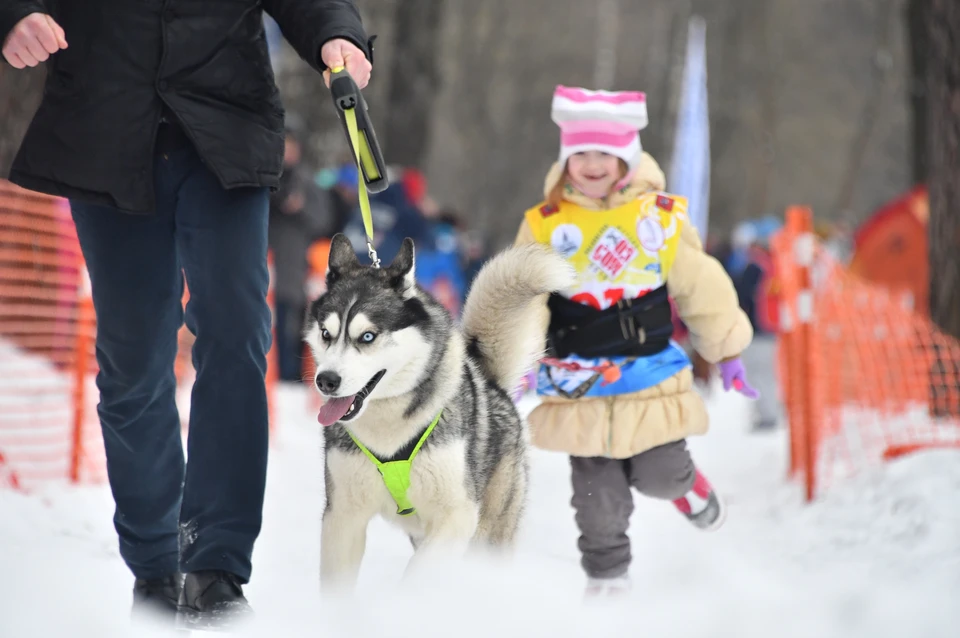 Самоделки для детей