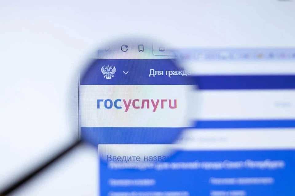 Для продолжения работы приложение "Госуслуги" следует обновить