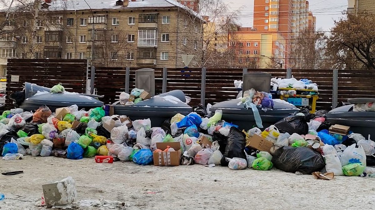 Это Эверест из мусора»: новосибирцы жалуются на горы отходов во дворе дома  на Дуси Ковальчук - KP.RU