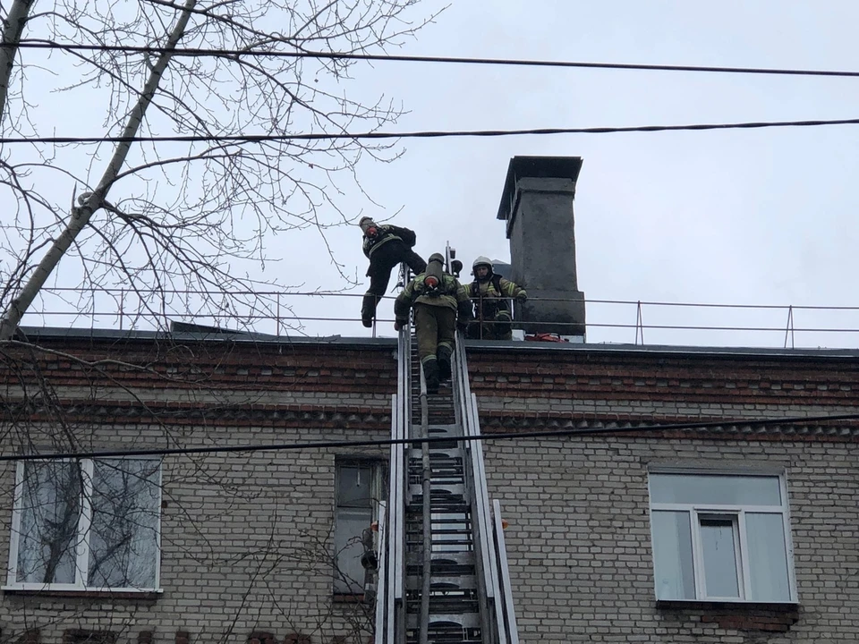 Фото: Кирилл Колемасов
