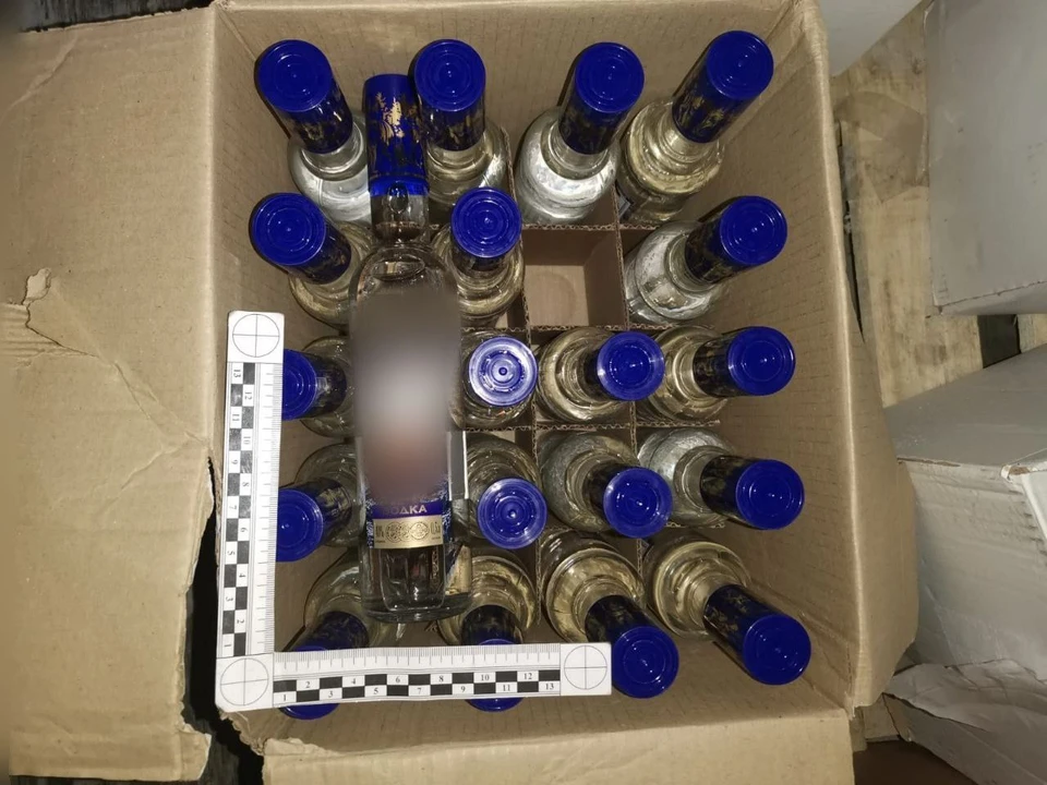 Фото: МВД Медиа