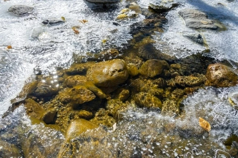 Водоемы покроются коркой льда