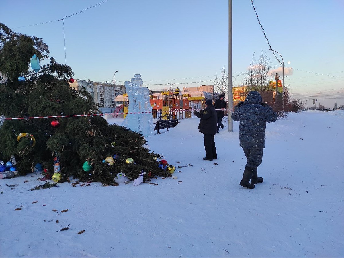 В Кемерове из-за сильного ветра упала новогодняя елка в Рудничном районе -  KP.RU