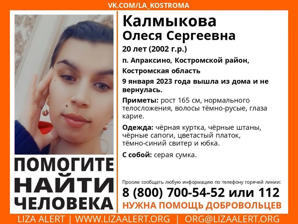 Фото: ДПСО "Лиза Алерт" Костромской области