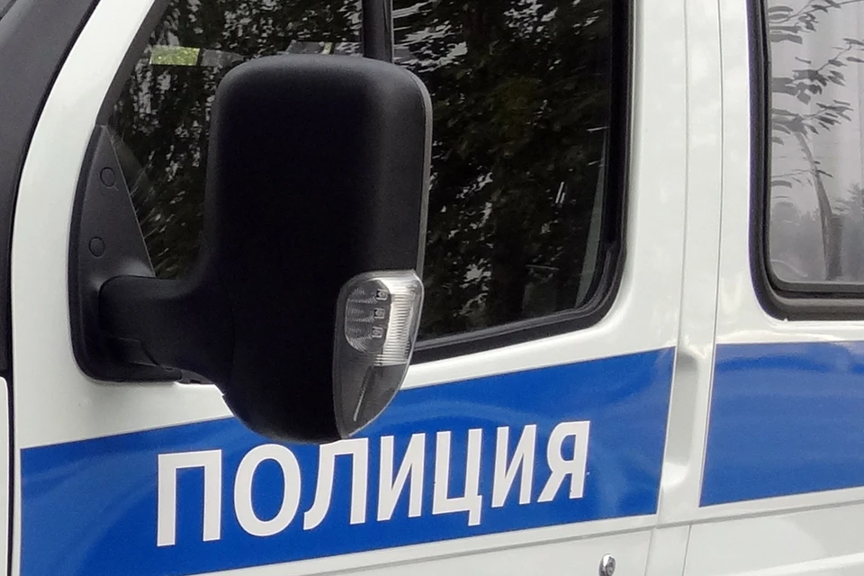 В Тюменском районе пьяный налетчик подбежал к женщине и выхватил у нее сумочку с телефоном