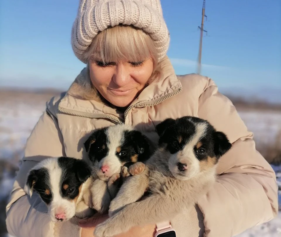 Девушка из Ульяновска спасла замерзающих в сгоревшем доме животных и нашла им новых хозяев