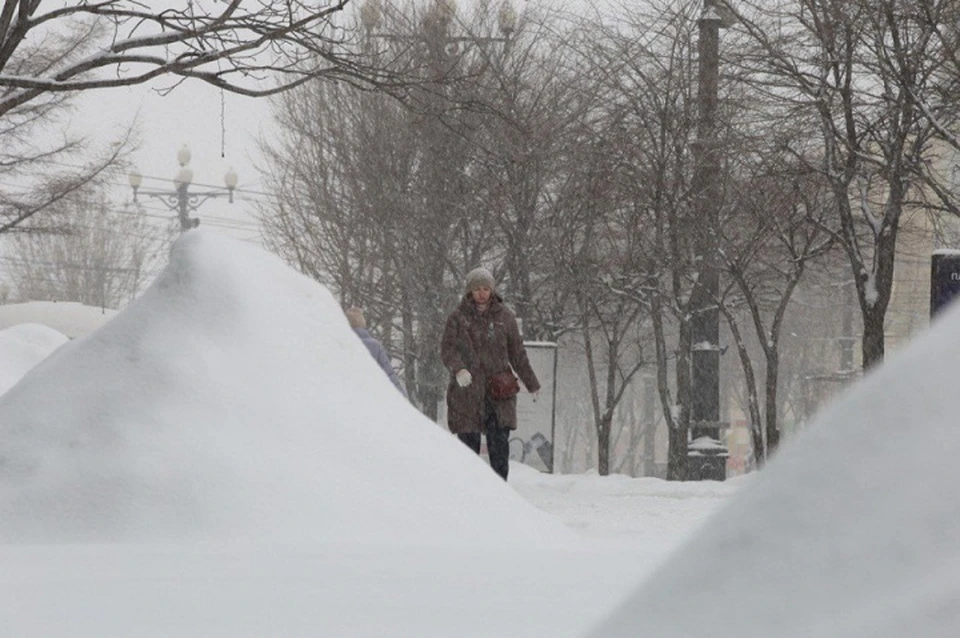 Небольшой снег обещают Хабаровскому краю 19 января