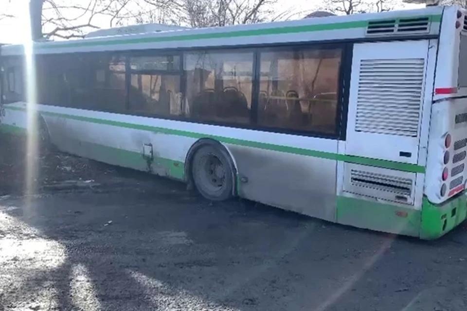 Автобус врезался в дерево. Фото: отдел пропаганды ГИБДД по Ростовской области.