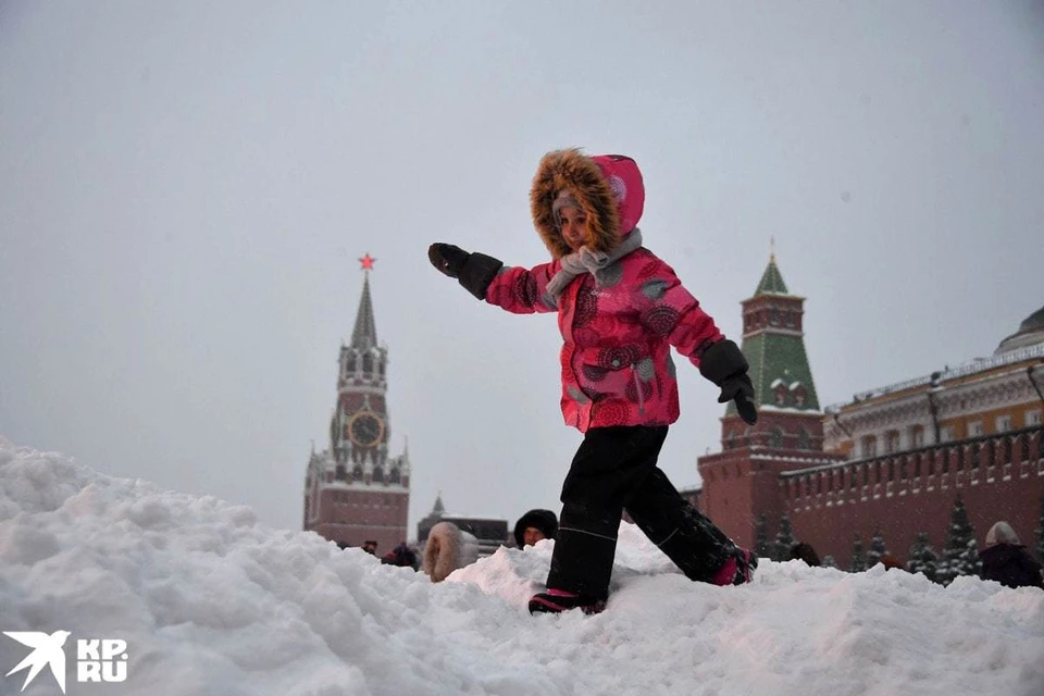 Тишковец: Последняя неделя января в Москве будет сопровождаться мягкими морозами