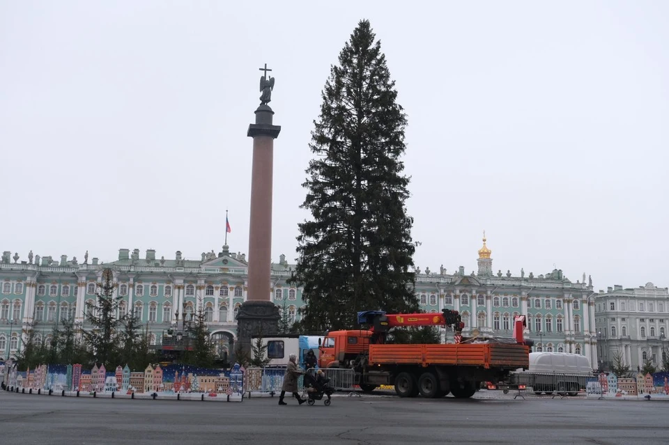 Завтра ночью главная новогодняя елка Петербурга покинет Дворцовую площадь