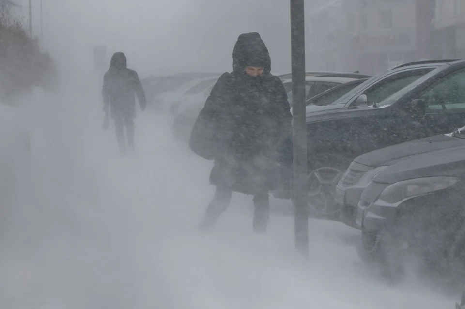 Метель, мороз и штормовой ветер обещают синоптики Хабаровскому краю 25 января