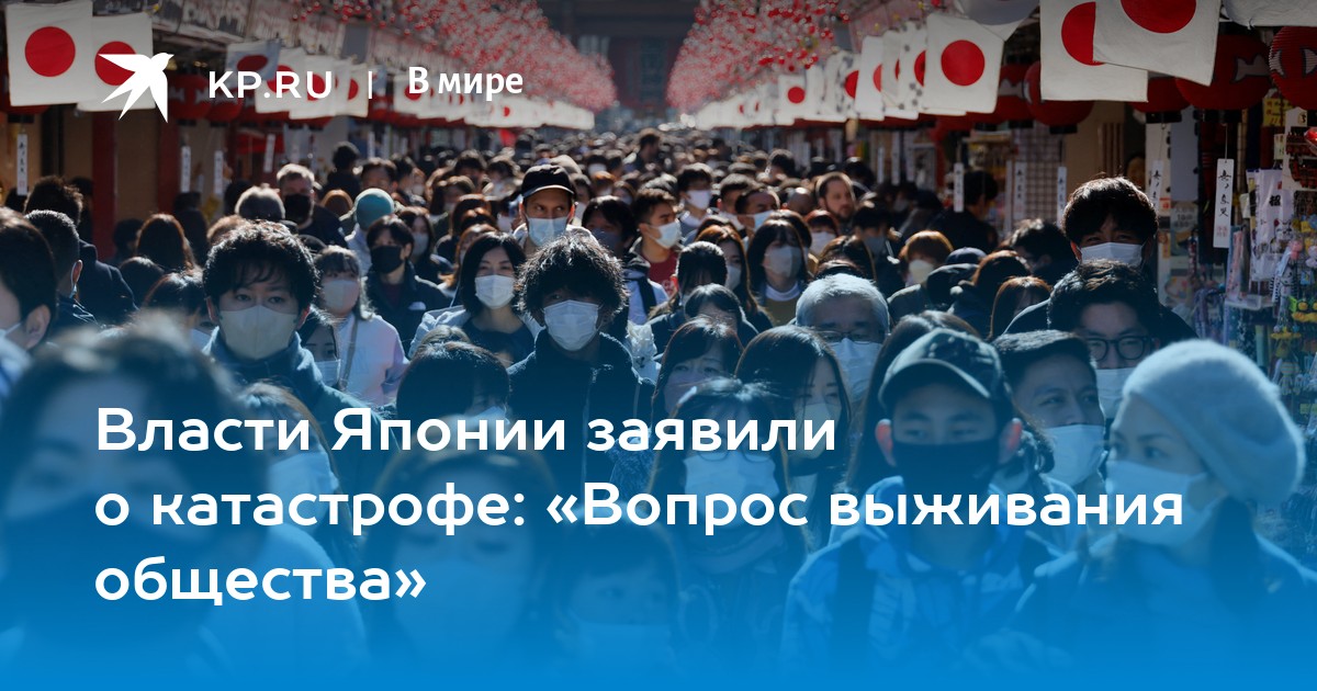 Kp общество
