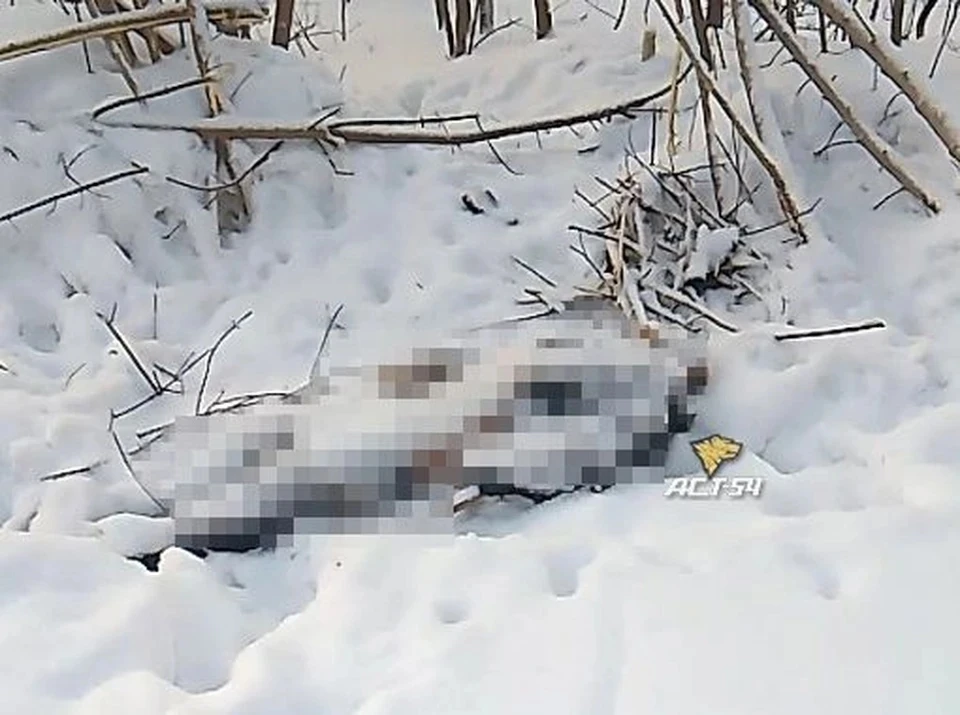 Мужчину нашли мертвым в снегу. Фото: "АСТ-54"