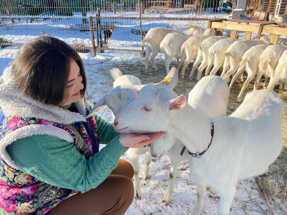 Победительница конкурса Анна Осипова сумела увеличить поголовье коз на своей ферме. Фото: пресс-служба минэкономразвития Самарской области