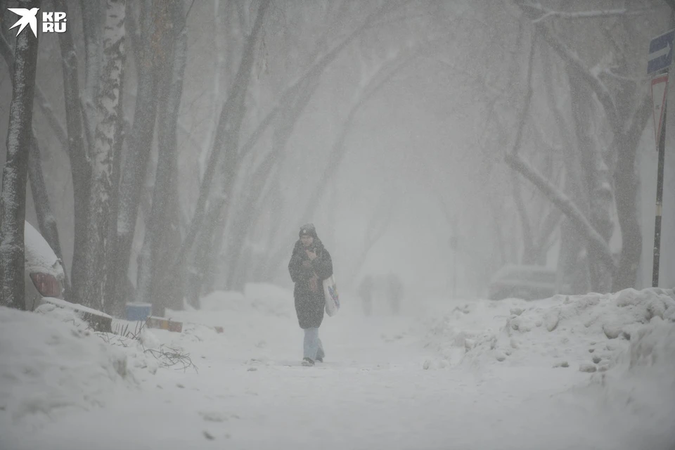 Погода на Камчатке начнет портиться вечером 25 января.
