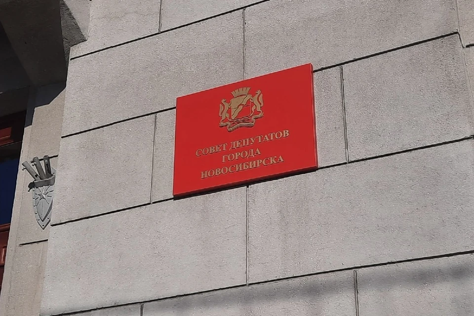 Новосибирские депутаты больше не будут публично отчитываться о своих доходах.