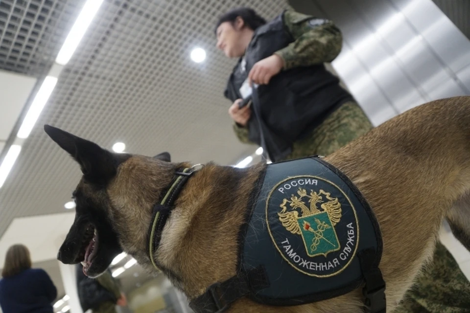 За одну проверку ростовские таможенники нашли недоимку в бюджет более 100 миллионов рублей за сигареты без акцизных марок.