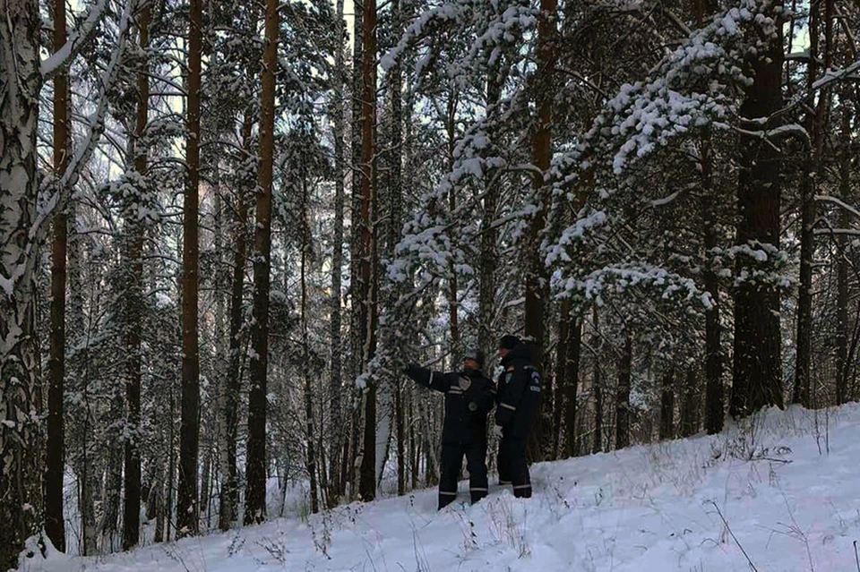 Фото: поисково-спасательная служба Челябинской области