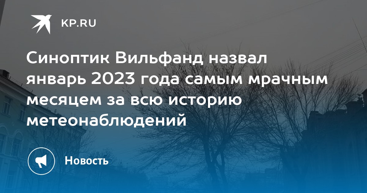 Синоптик Вильфанд назвал январь 2023 года самым мрачным месяцем за всю историю метеонаблюдений