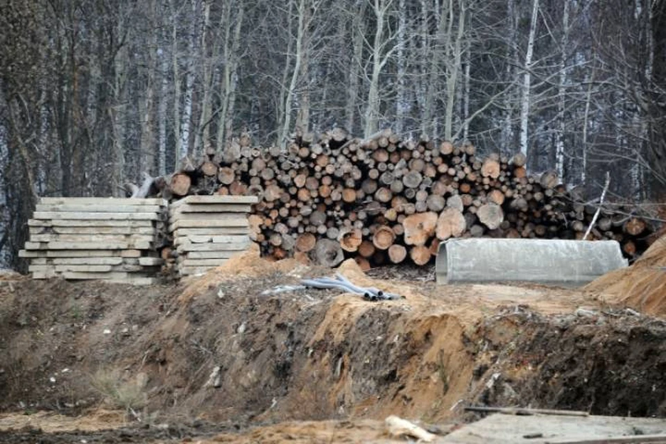 Общая сумма взяток составила около 60 тысяч рублей.