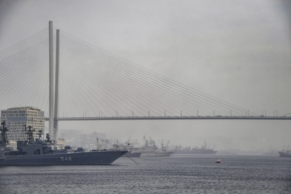 Вид на Золотой мост во Владивостоке.
