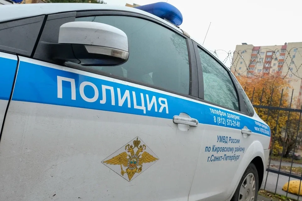 Полиция возбудила дело на хозяина питбуля, покусавшего девочку.