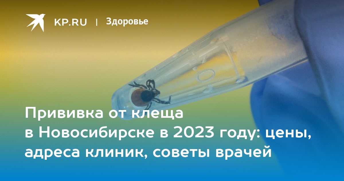 Вакцина новосибирске. Страховка от клеща в Новосибирске.