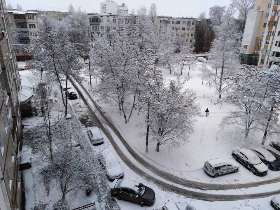 Днем и ночью белгородцев ждут осадки в виде мокрого снега.