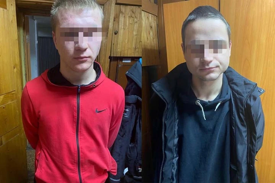 В отношении фигурантов возбуждено и расследуется уголовное дело Фото: УМВД России по Тверской области