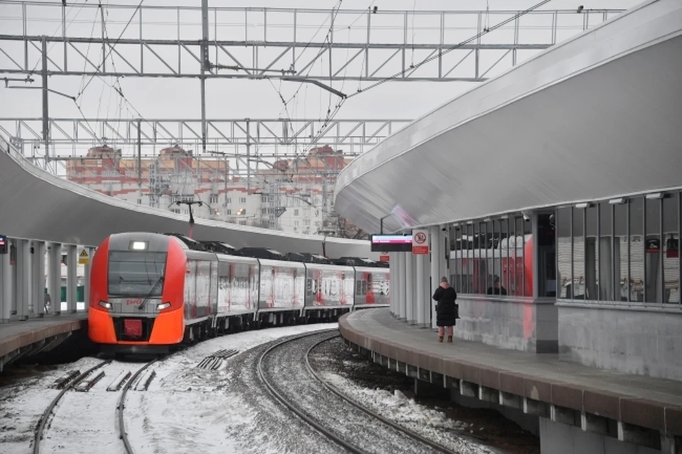 Злоумышленницу задержали транспортные полицейские