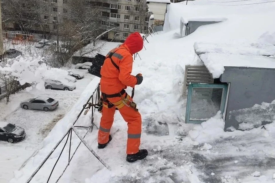 Если во время движения по тротуару наверху раздастся подозрительный шум, ни в коем случае не стоит останавливаться, поднимать голову и рассматривать