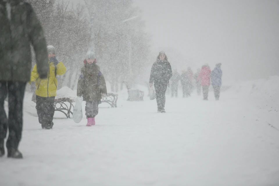 Ульяновскую область в ближайшие часы накроет снегопад с сильным ветром