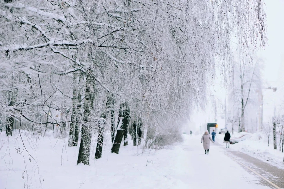 В Ижевске ожидается снег с дождем